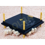 Chick Heat Plate / Electric Hen For 30 - 35 Chicks. 