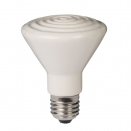 Dull Emitter Bulb 250 Watt