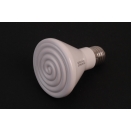 Dull Emitter Bulb 250Watt