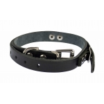 Deben Leather Replacement Collar for Terrier Finder.
