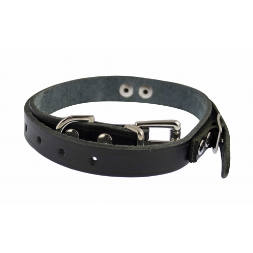 terrier locator collar