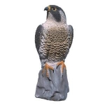 Standing Falcon Decoy. 