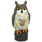 Owl Decoy. 