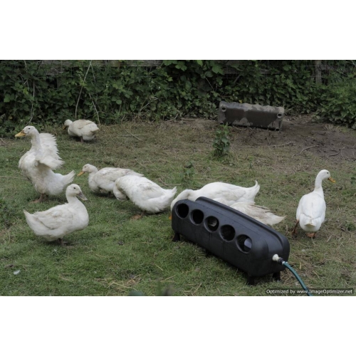 Automatic Duck Drinker. 16 Litre.