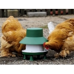 6kg Outdoor Blenheim Poultry Feeder. 
