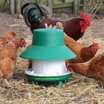 Poultry Feeders