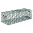 Pigeon Cage Trap.  