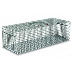 Pigeon Cage Trap. Stock Due Feb 2022