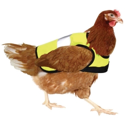 Yellow High-Vis Chicken Vest Jacket.