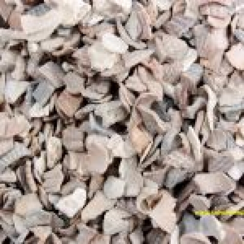 Oyster Shell 500g