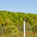 50m x 90cm Orange / Red Electric Sheep Netting. 