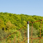 50m x 90cm Orange / Red Electric Sheep Netting. Stock Due 7th June