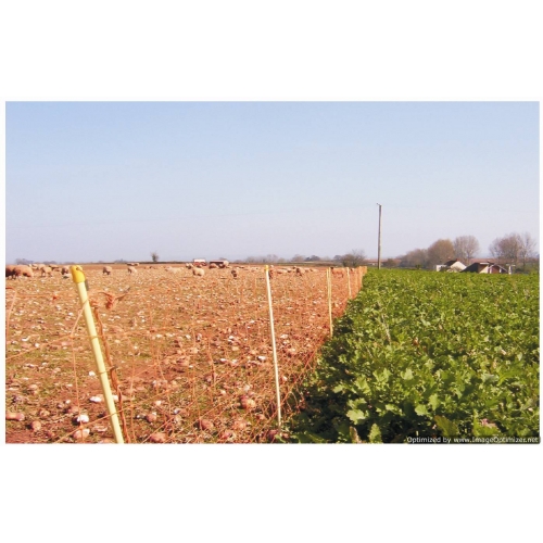 50m x 0.85m Orange Electric Sheep Netting.