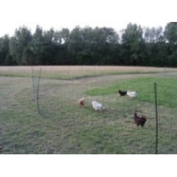 Electric Poultry Fencing / Netting. 50m x 1.1m High. Hotline. 