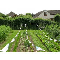 30 Metres of Repeller Ribbon.