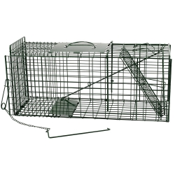 Folding Green Mink Cage Trap. Heavy Gauge. Stock Due 15th May