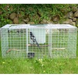 Larsen Trap - Magpie & Grey Crow Trap. Due Early June