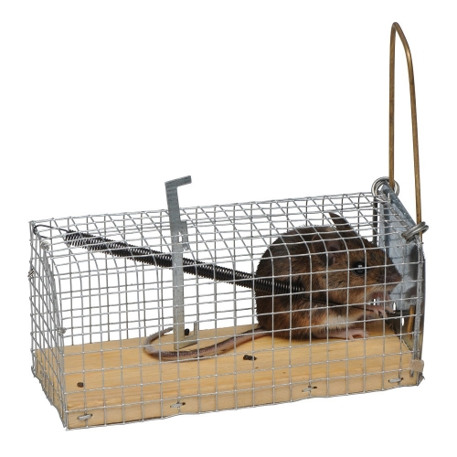 mouse catching cage