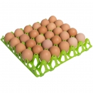 Plastic Egg Tray to hold 30 Hen Eggs.  