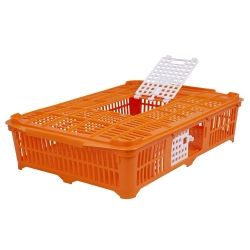 Transport crate for Quail & Pigeons.