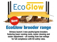 New Range of Brinsea EcoGlow Brooders for sale.