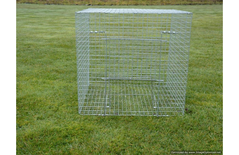 Larsen Mate Traps.